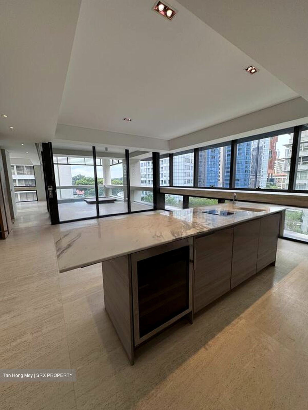 Hana (D10), Condominium #497123031
